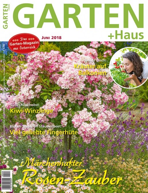 GARTEN+HAUS Ausgabe 6/2018