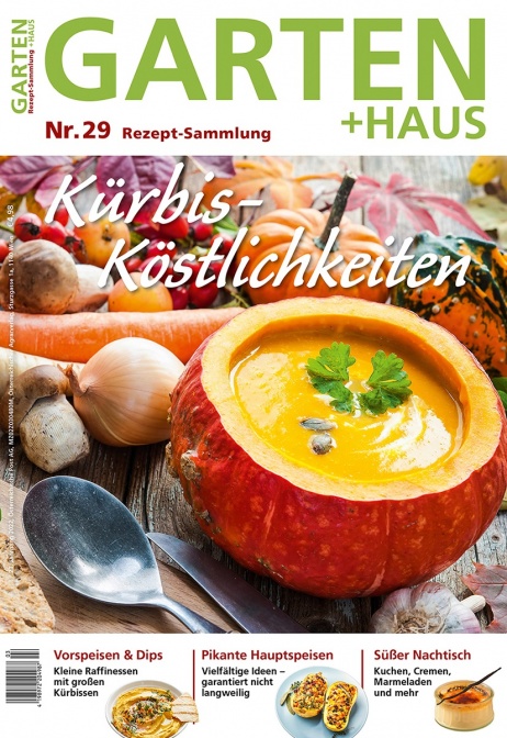 Rezept-Sammlung 29 – Kürbis-Köstlichkeiten