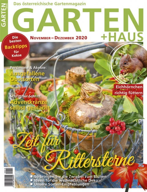 GARTEN+HAUS Ausgabe 11-12/2020