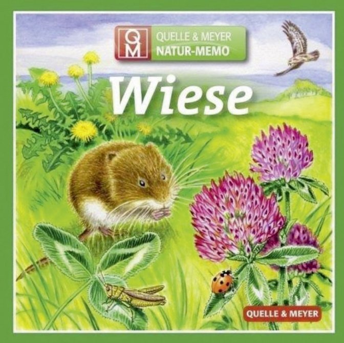 Natur-Memory "Wiese"