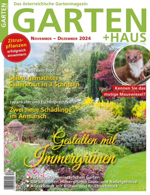 GARTEN+HAUS Ausgabe 11-12/2024