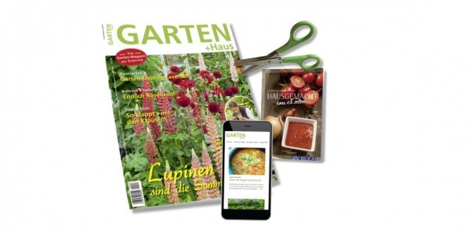 GARTEN+HAUS + ePaper Online