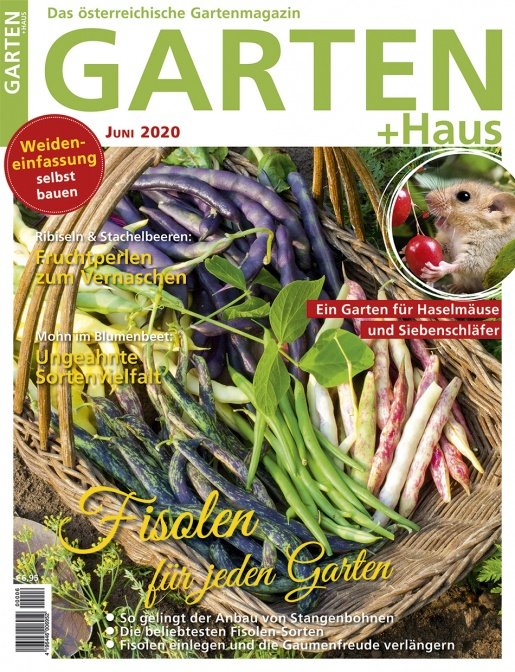 GARTEN+HAUS Ausgabe 6/2020