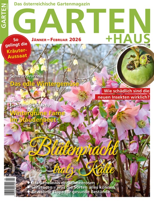 GARTEN+HAUS Ausgabe 1-2/2026