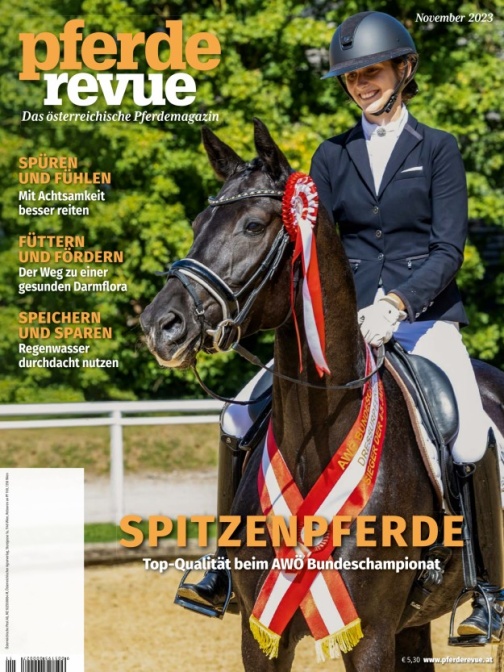 Pferderevue 11/2023