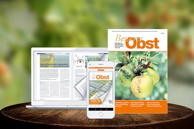 Besseres Obst Studentenabo Digital