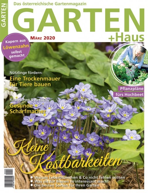 GARTEN+HAUS Ausgabe 3/2020