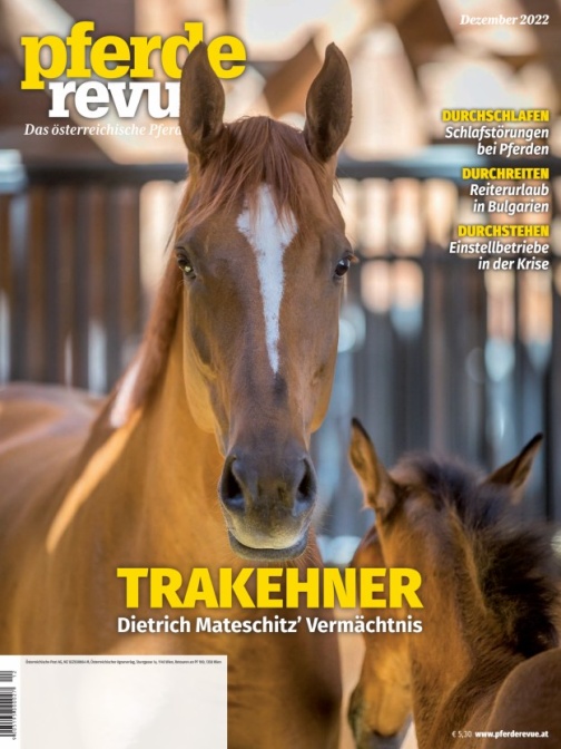 Pferderevue 12/2022