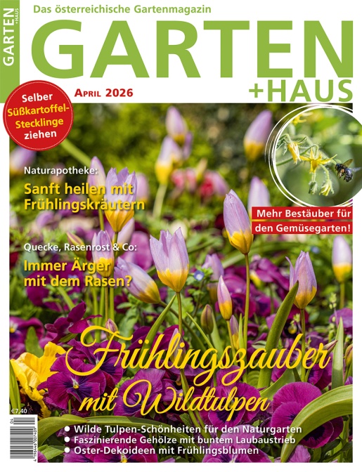 GARTEN+HAUS Ausgabe 4/2026