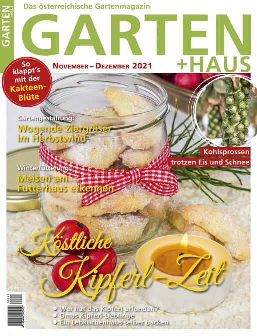 GARTEN+HAUS Ausgabe 11-12/2021