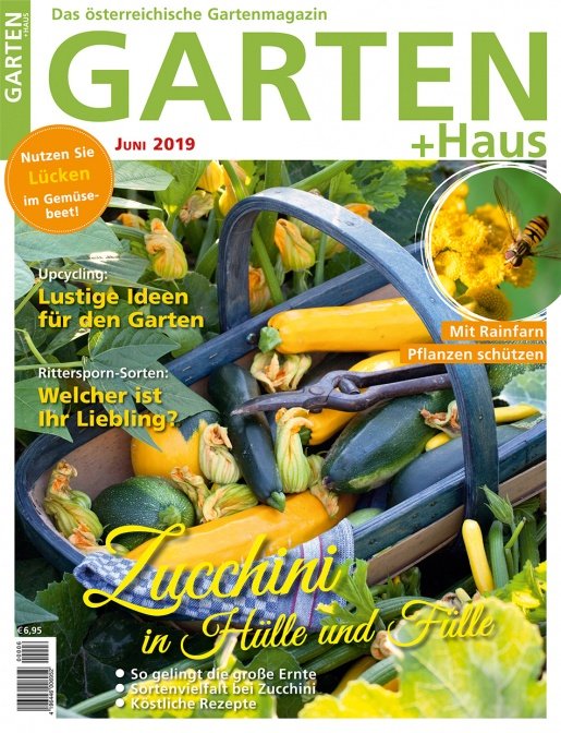 GARTEN+HAUS Ausgabe 6/2019