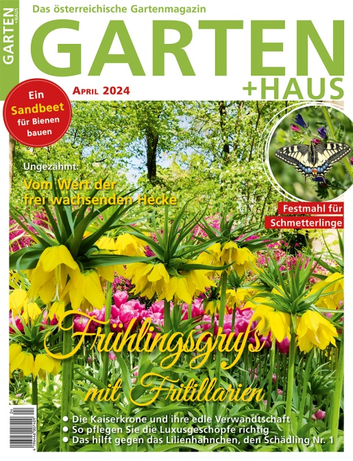 GARTEN+HAUS Ausgabe 4/2024