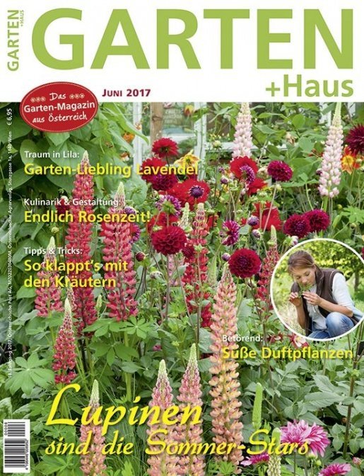 GARTEN+HAUS Ausgabe 6/2017