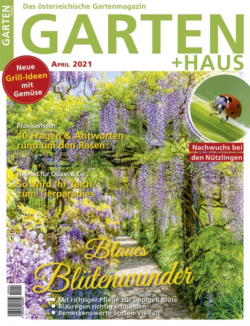 GARTEN+HAUS Ausgabe 4/2021