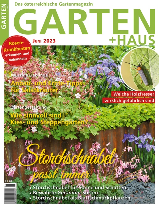 GARTEN+HAUS Ausgabe 6/2023