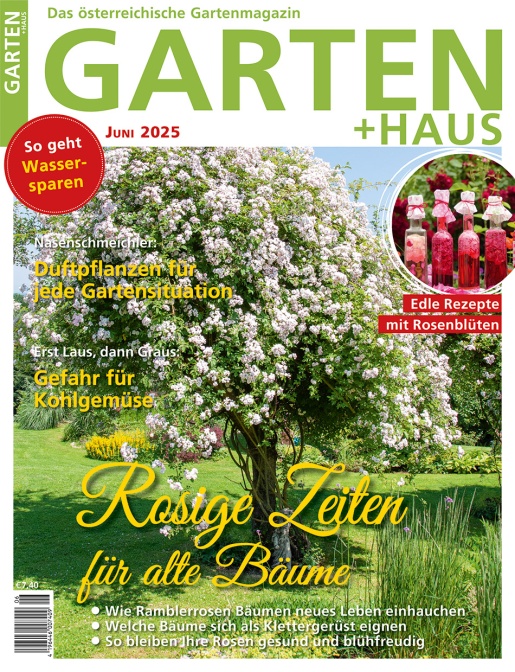 GARTEN+HAUS Ausgabe 6/2025