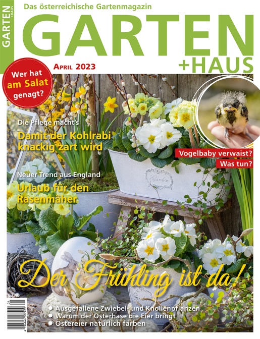 GARTEN+HAUS Ausgabe 4/2023