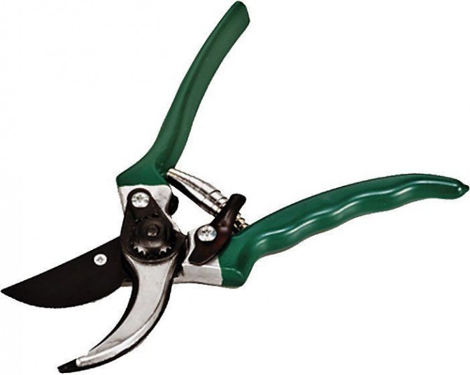 Gartenschere "Basic"