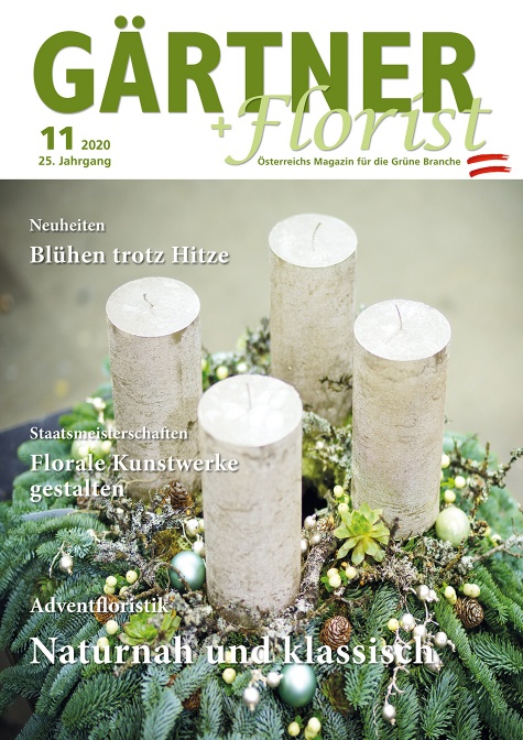 GÄRTNER+FLORIST Ausgabe 11/2020