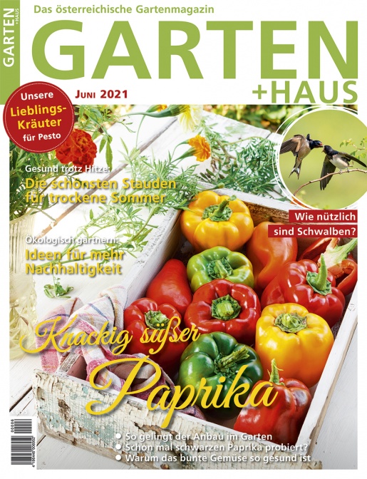 GARTEN+HAUS Ausgabe 6/2021