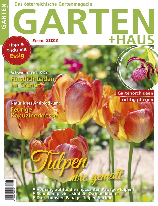 GARTEN+HAUS Ausgabe 4/02022