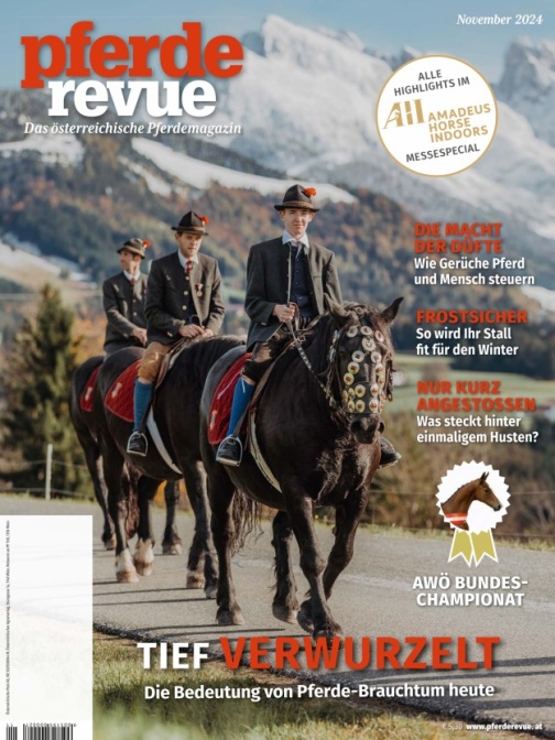 Pferderevue 11/2024