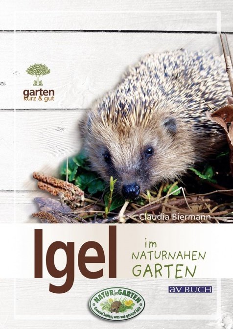 Igel im naturnahen Garten